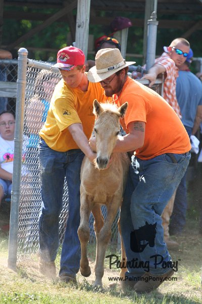 ponypenning_072811_0455.JPG