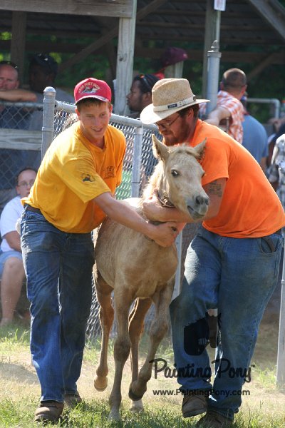 ponypenning_072811_0456.JPG