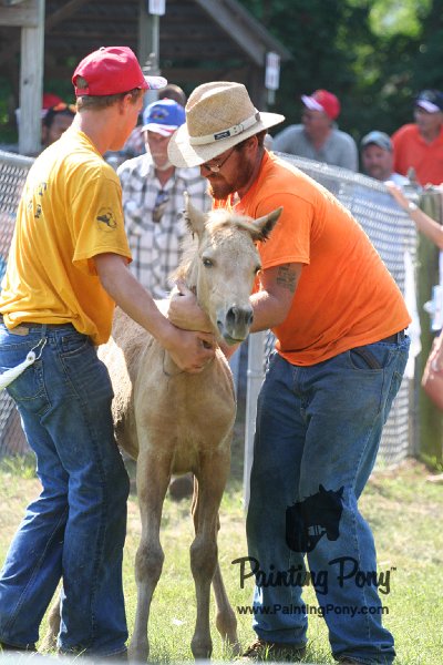 ponypenning_072811_0458.JPG