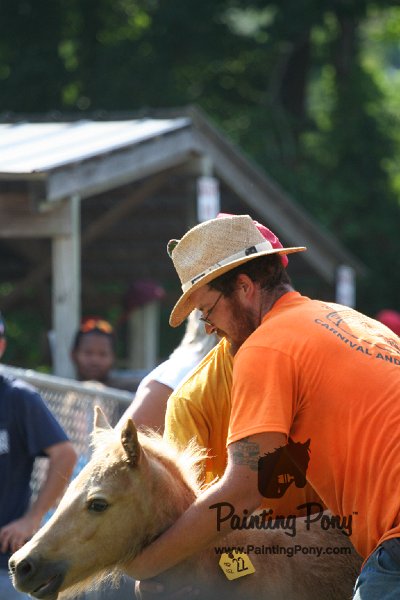 ponypenning_072811_0460.JPG