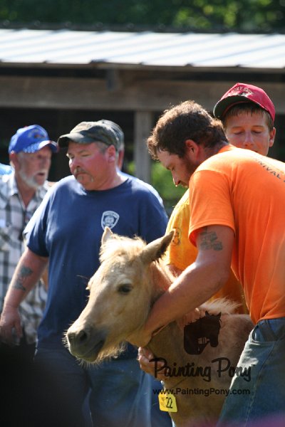 ponypenning_072811_0468.JPG