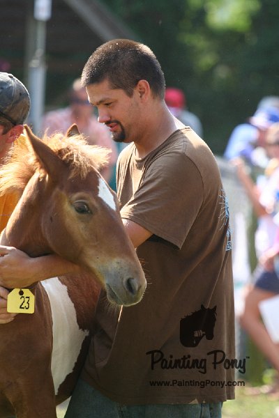 ponypenning_072811_0470.JPG