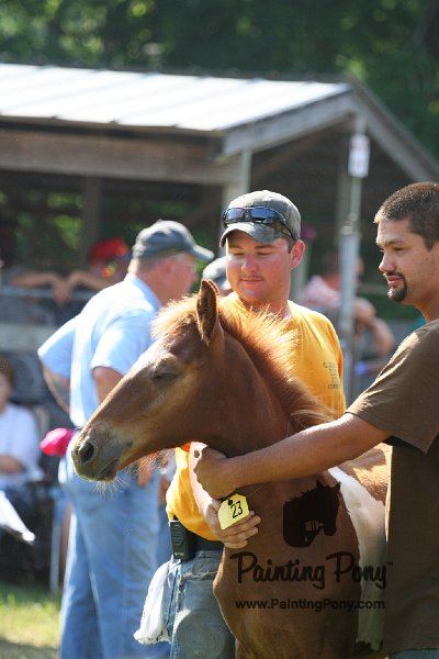 ponypenning_072811_0472.JPG