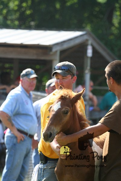 ponypenning_072811_0474.JPG