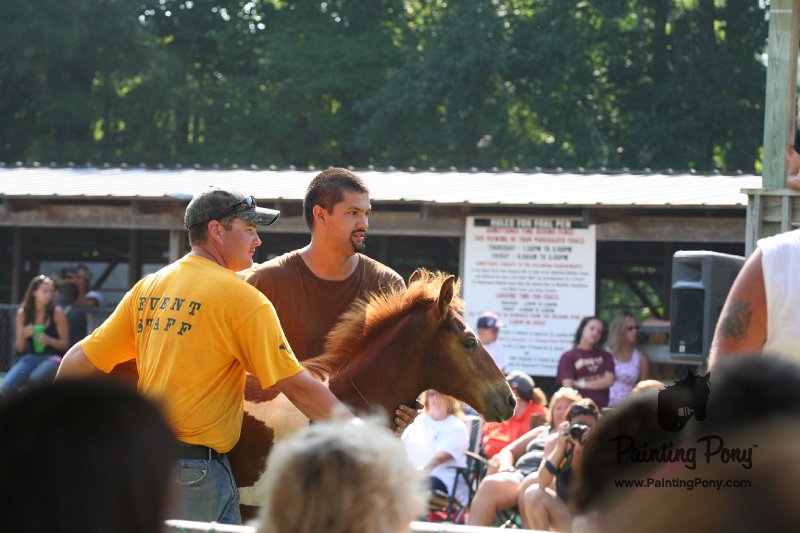 ponypenning_072811_0477.JPG