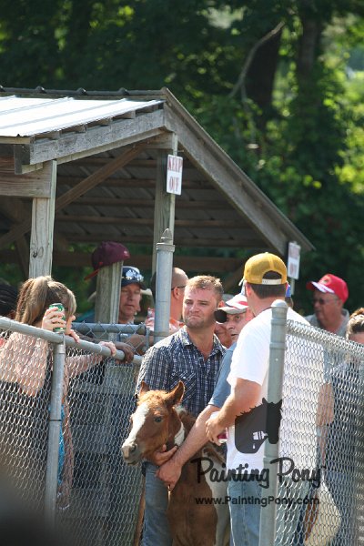 ponypenning_072811_0484.JPG
