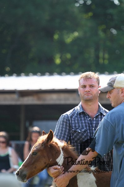 ponypenning_072811_0486.JPG