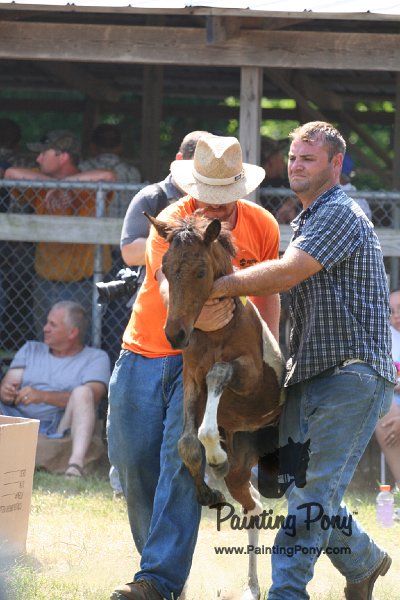ponypenning_072811_0491.JPG