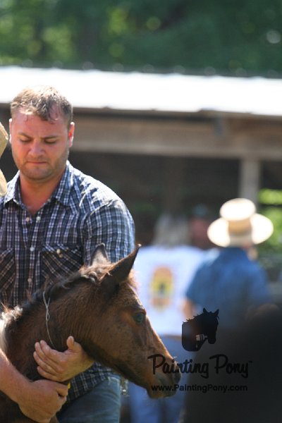 ponypenning_072811_0493.JPG