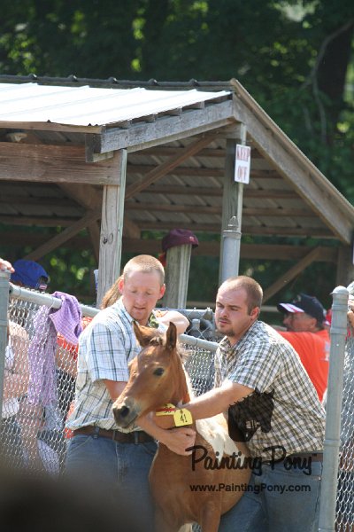 ponypenning_072811_0502.JPG