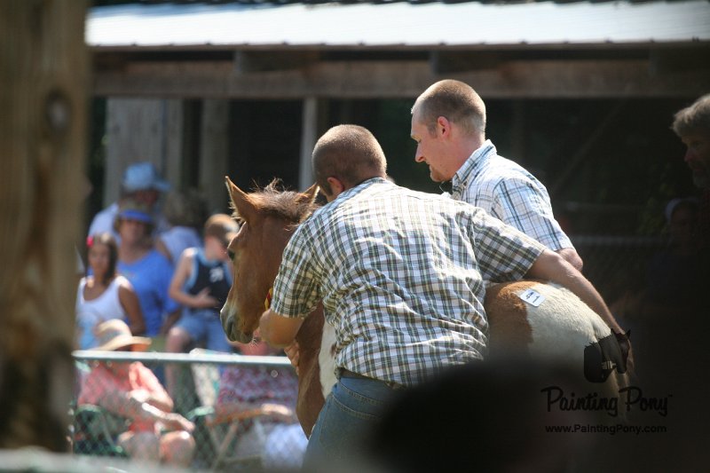 ponypenning_072811_0505.JPG