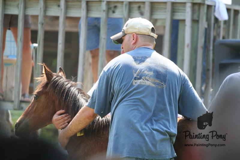 ponypenning_072811_0512.JPG