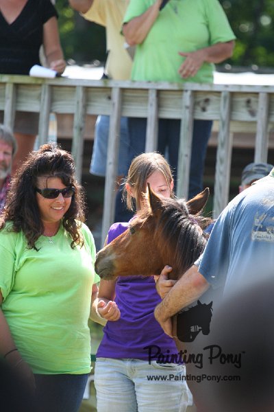 ponypenning_072811_0520.JPG