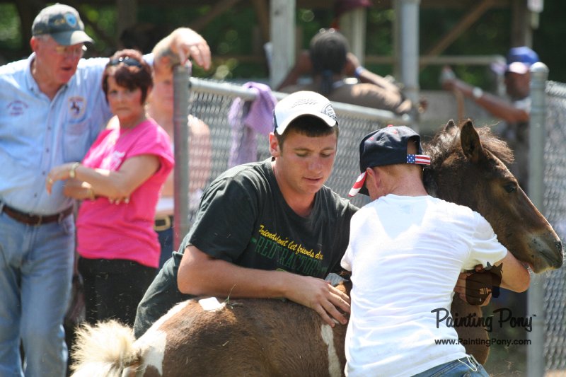 ponypenning_072811_0537.JPG