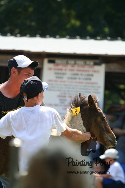 ponypenning_072811_0540.JPG