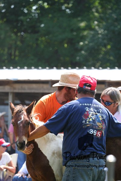 ponypenning_072811_0550.JPG
