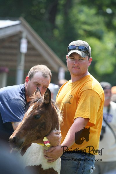 ponypenning_072811_0553.JPG