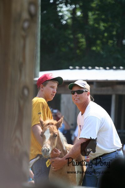 ponypenning_072811_0561.JPG