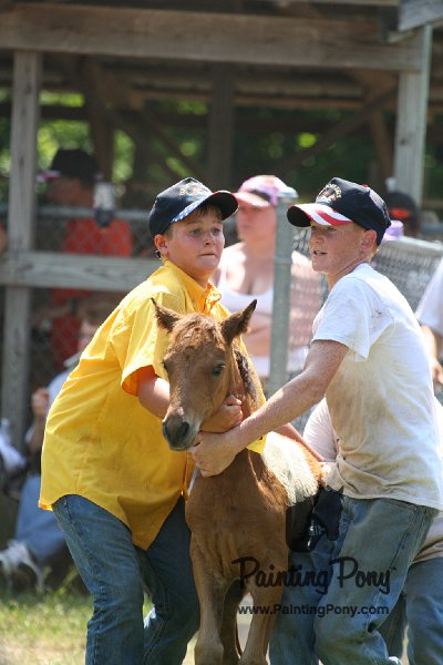 ponypenning_072811_0571.JPG