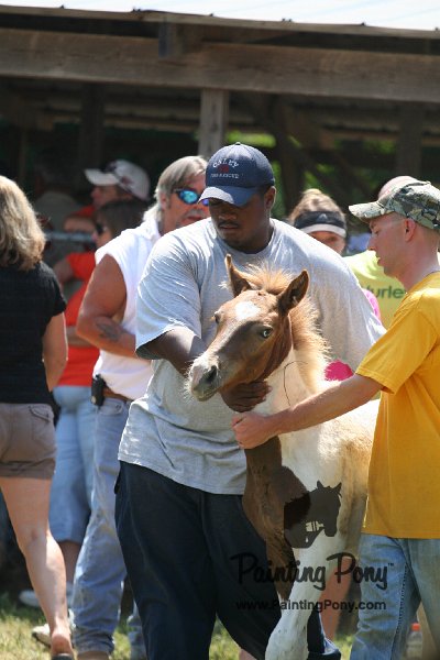 ponypenning_072811_0576.JPG