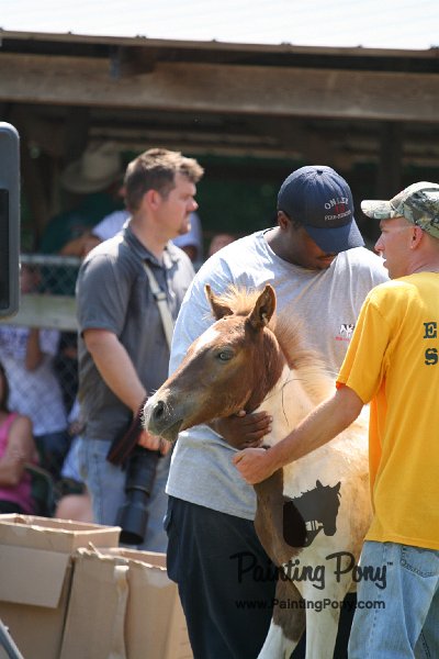 ponypenning_072811_0578.JPG