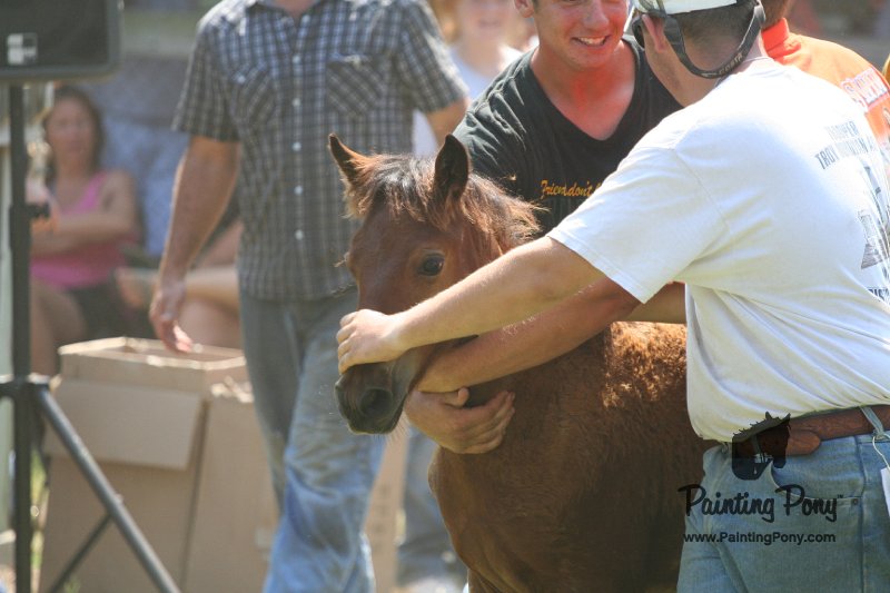 ponypenning_072811_0589.JPG