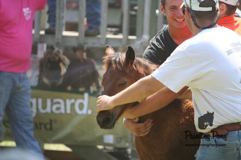ponypenning_072811_0590.JPG