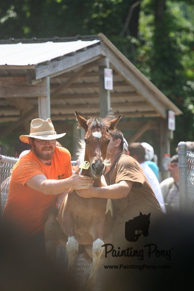 ponypenning_072811_0603.JPG