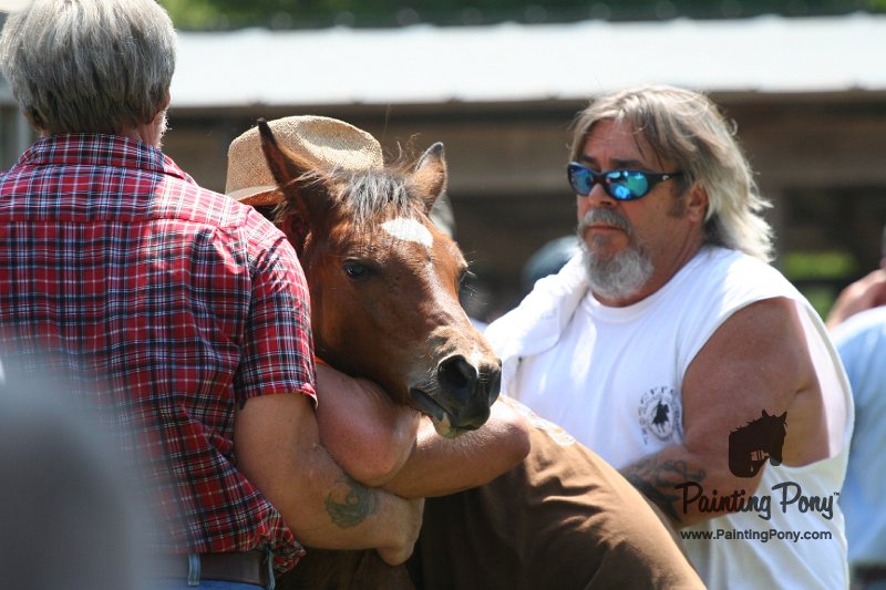 ponypenning_072811_0613.JPG