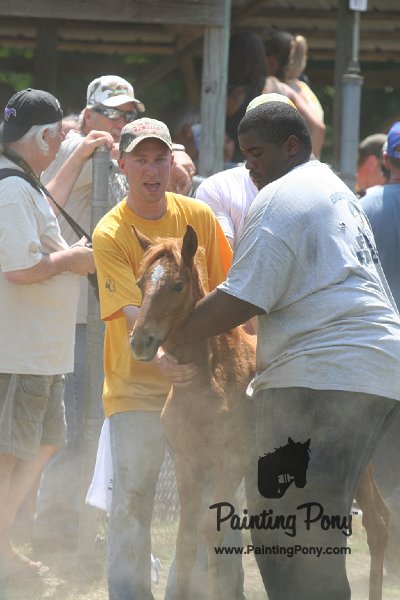 ponypenning_072811_0616.JPG