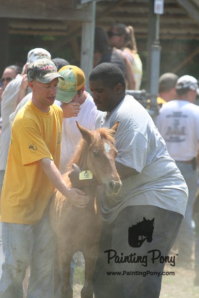 ponypenning_072811_0617.JPG