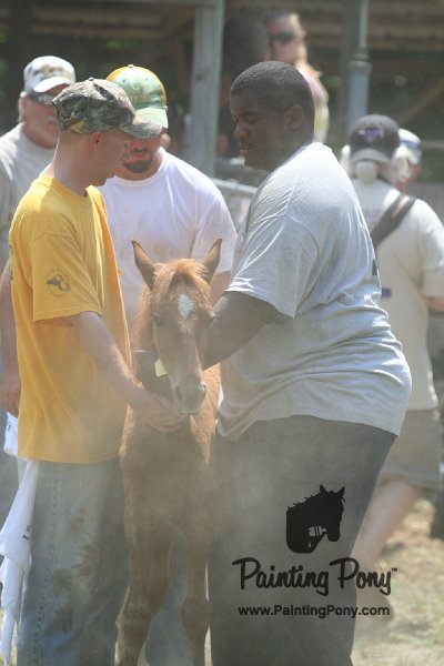 ponypenning_072811_0619.JPG