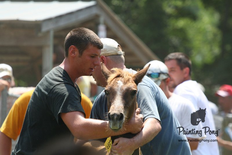 ponypenning_072811_0621.JPG