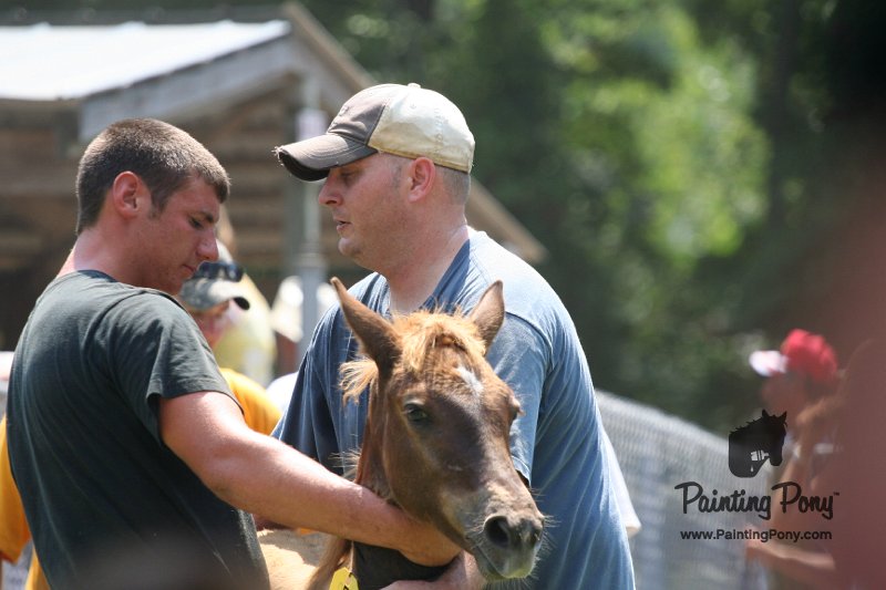 ponypenning_072811_0623.JPG