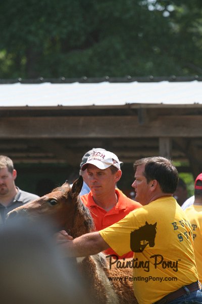 ponypenning_072811_0626.JPG
