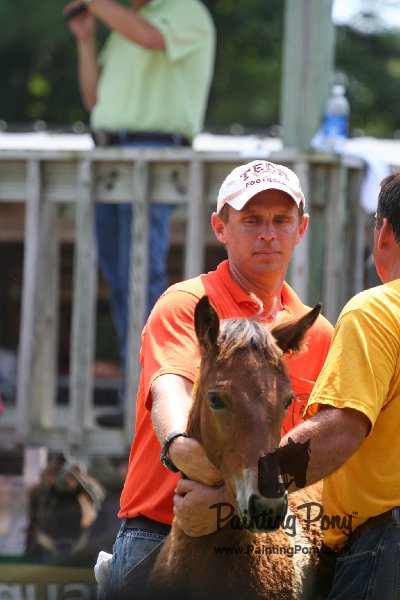 ponypenning_072811_0629.JPG