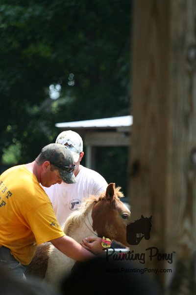 ponypenning_072811_0630.JPG