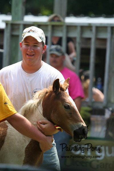 ponypenning_072811_0631.JPG