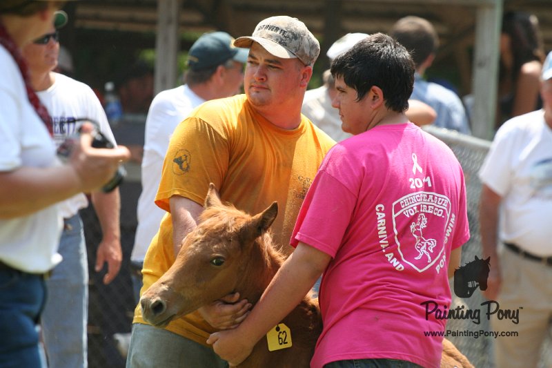 ponypenning_072811_0636.JPG