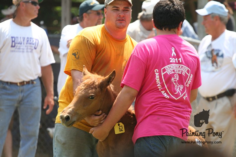 ponypenning_072811_0637.JPG