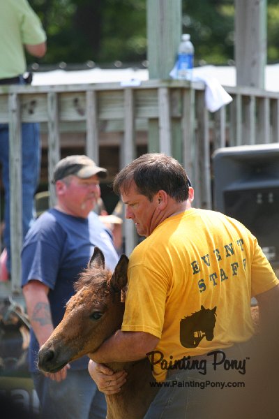 ponypenning_072811_0640.JPG