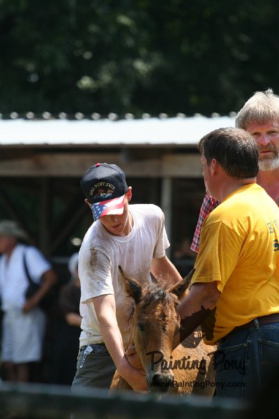 ponypenning_072811_0644.JPG
