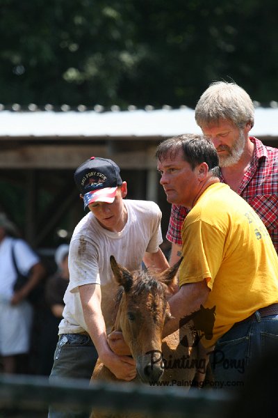 ponypenning_072811_0645.JPG
