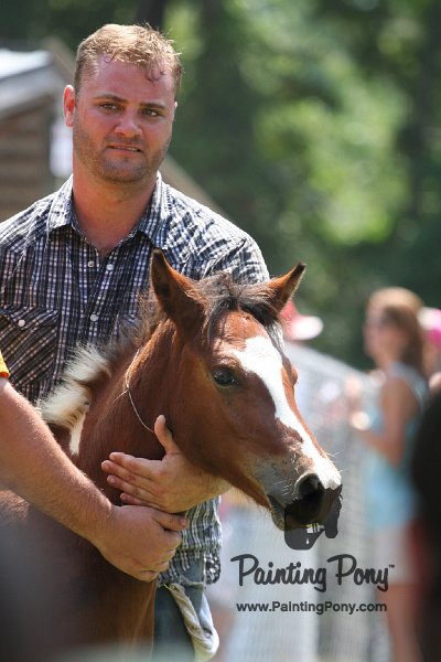 ponypenning_072811_0651.JPG