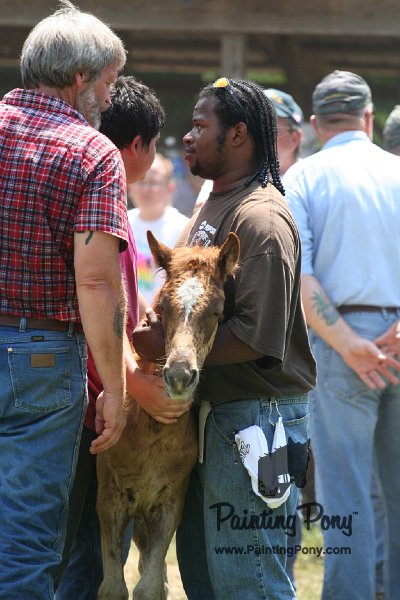 ponypenning_072811_0660.JPG