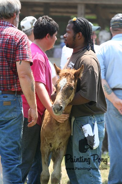 ponypenning_072811_0661.JPG