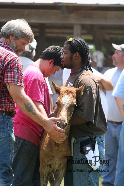 ponypenning_072811_0663.JPG