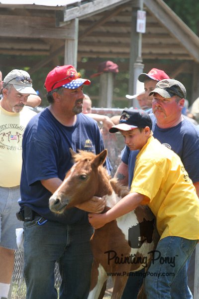 ponypenning_072811_0666.JPG