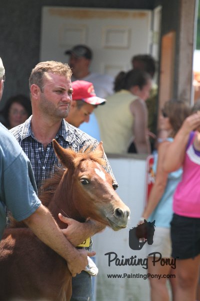 ponypenning_072811_0671.JPG
