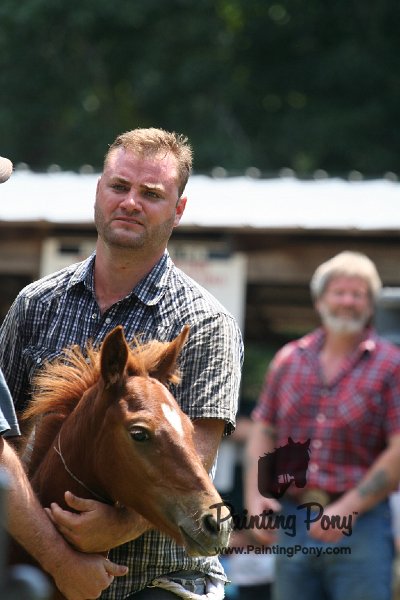 ponypenning_072811_0675.JPG